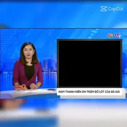 mẫu troll