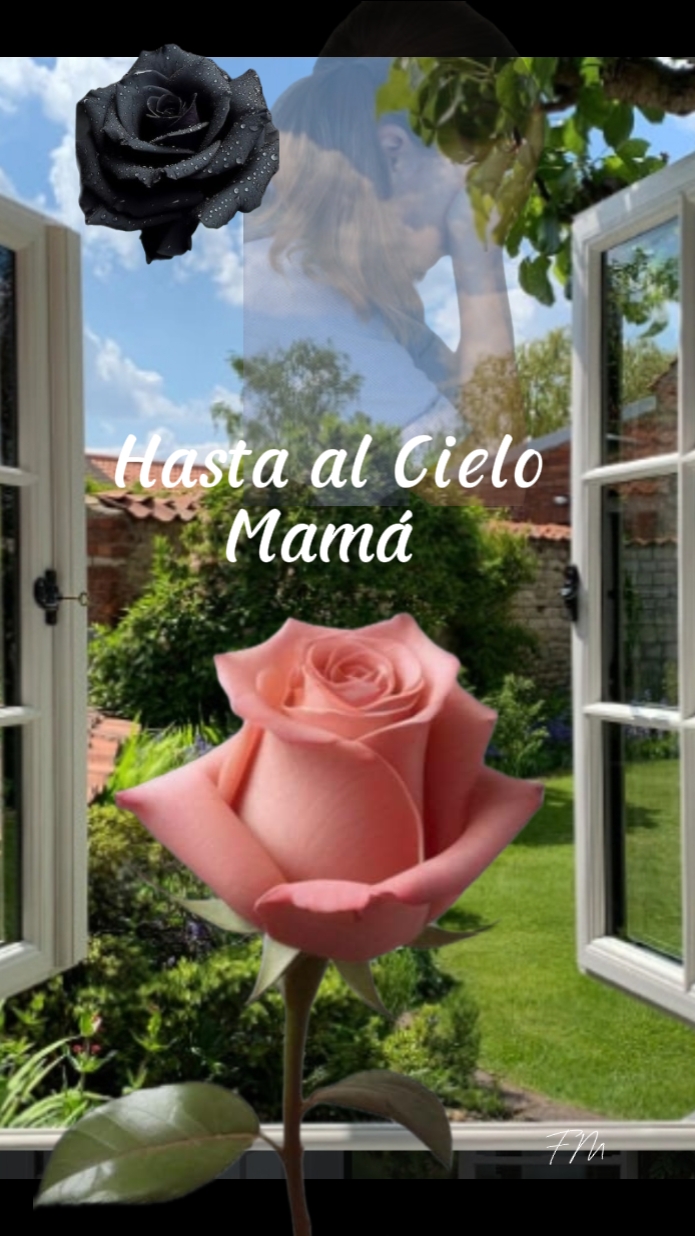 Hasta al Cielo Mamá