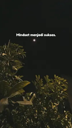mindset sukses