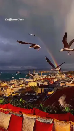 Bu gala taşlı gala