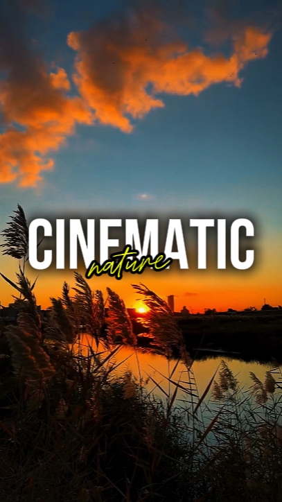 CINEMATIC NATURE