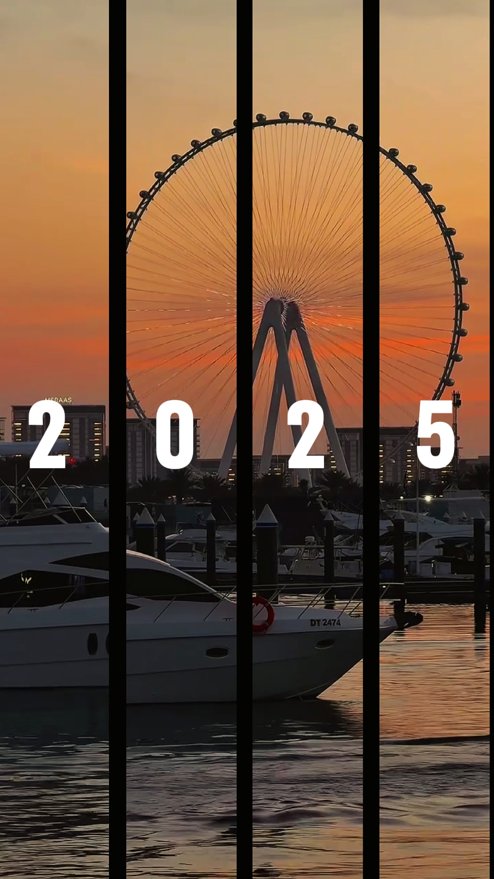 ADIÓS 2025