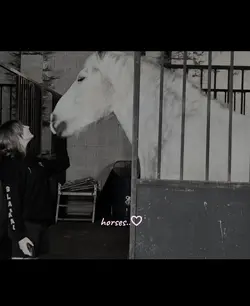 horses! 