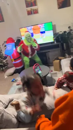 GRINCH VISIT