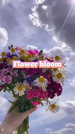 Flower Bloom