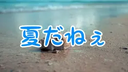 2026夏