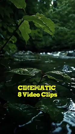 CINEMATIC
8 video