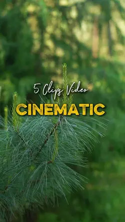 Cinematic 5 Video 