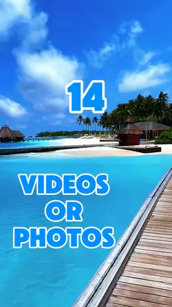 14 videos or photos