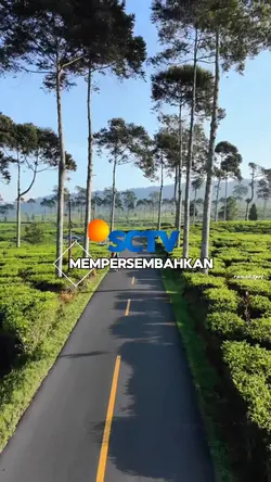 cinematic ftv sctv