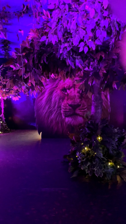 Filme Mufasa