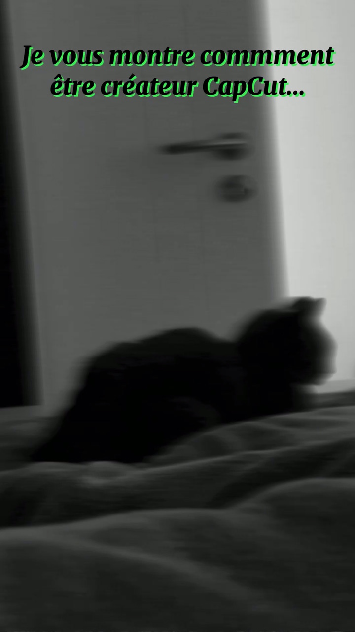 Être créateur CapCut