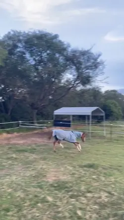 someone was happy