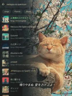 aesthetic-spedup