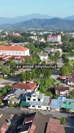 Bu manifestoyu yap