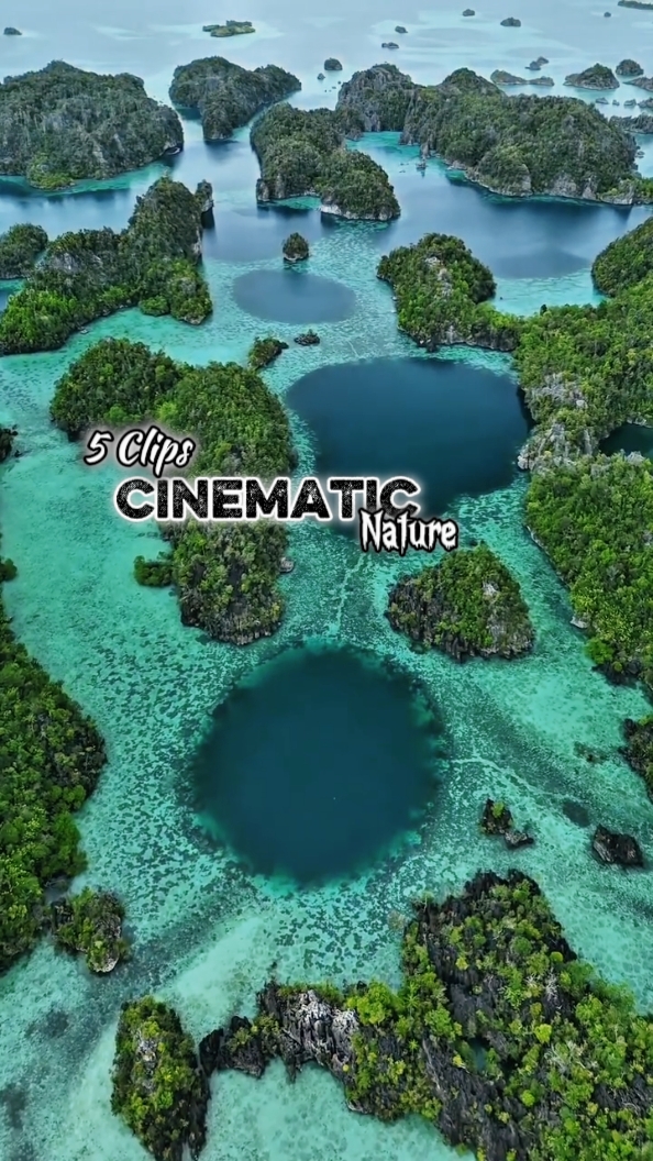 Cinématique 5 Clips 