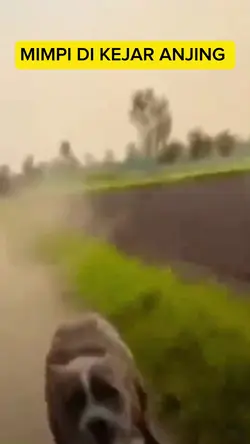 mimpi dikejar anjing