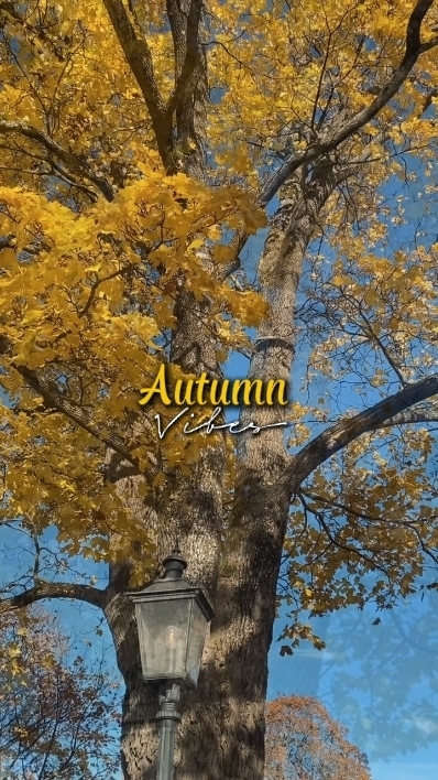 Vibraciones de otoño 
