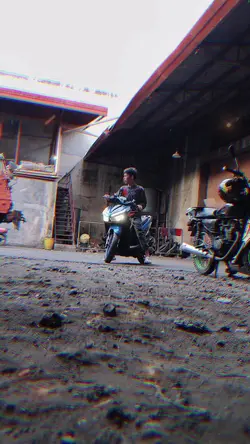 ginseng strip slowed