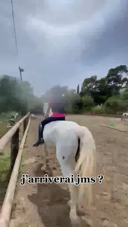 évolution cheval 