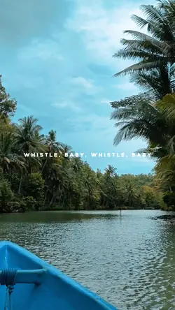 Florida Wishtle baby