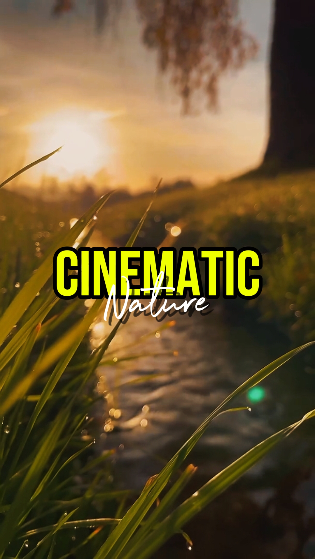 CINEMATIC NATURE