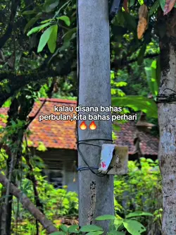 kita bahas perhari