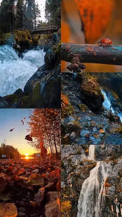 Autumn vibes