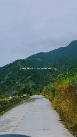 Rides & Nature Heals