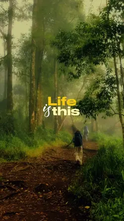 life is this