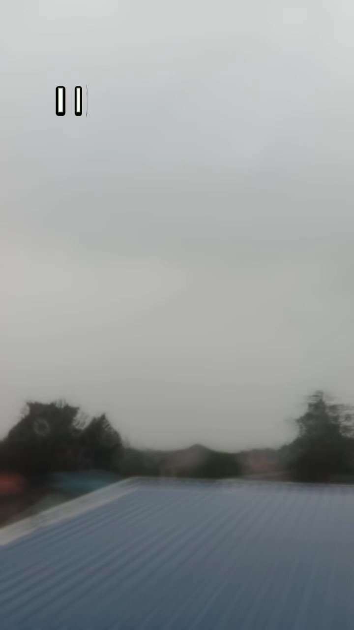 Rainy Days