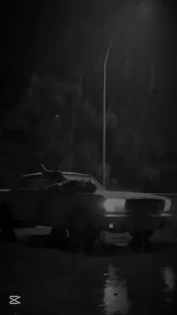 de când nu mai ești 