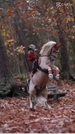 Horses