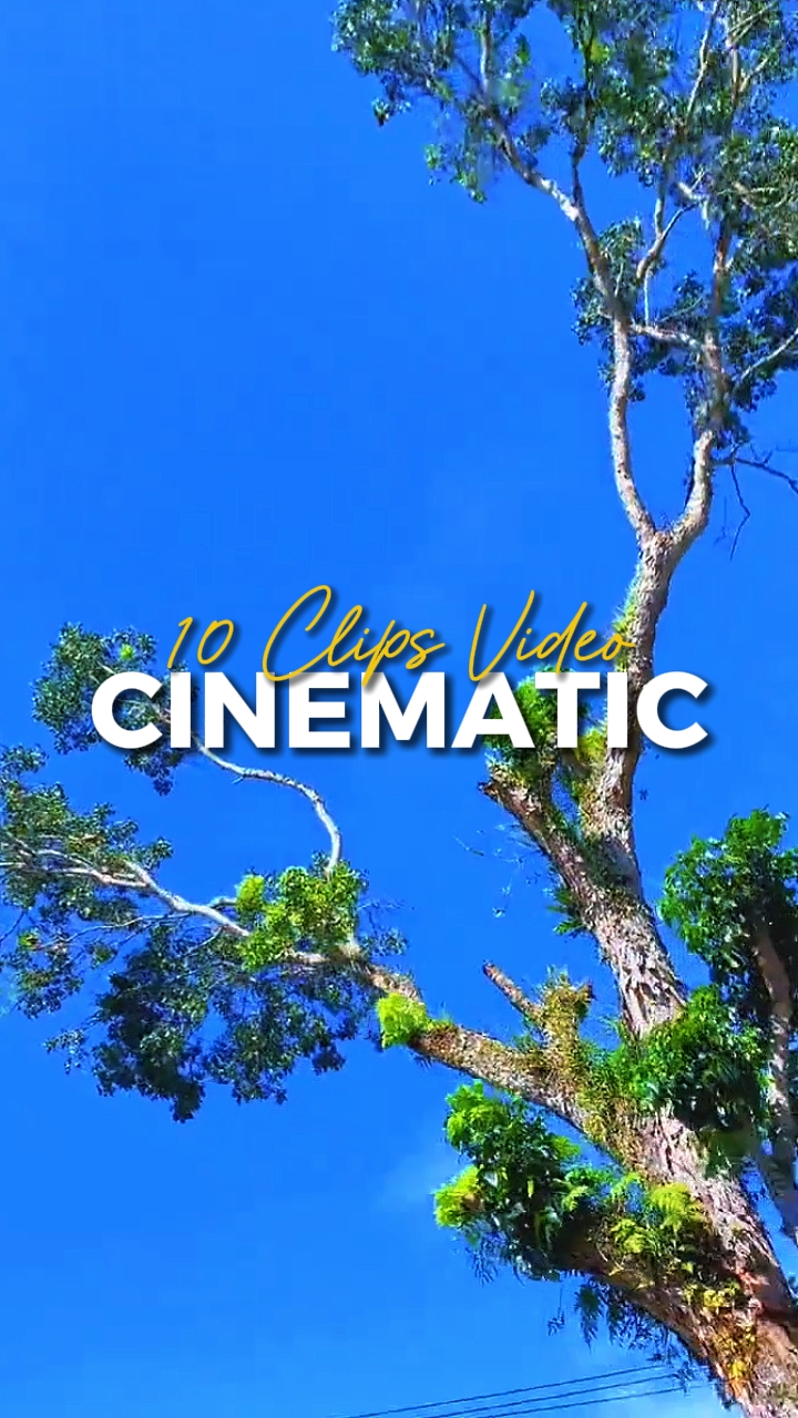 10 CLIPS VIDÉO