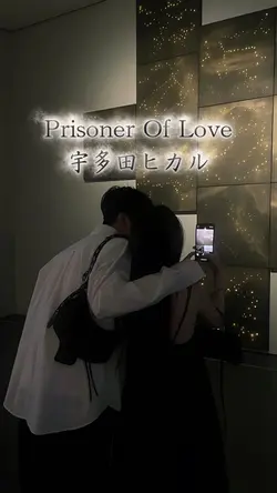 Prisoner Of Love
宇多田