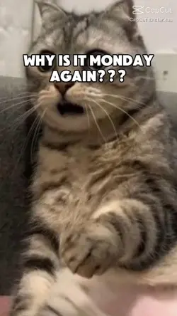 WHY IS IT MONDAY