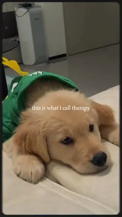 this is my therapy 