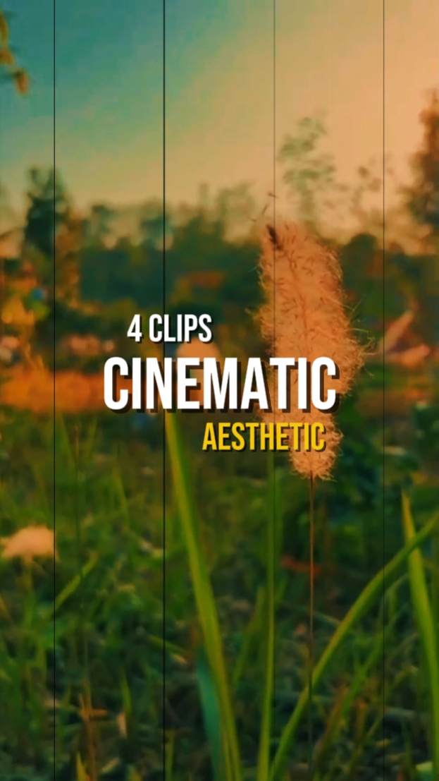 CINEMATIC NATURE