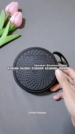 Speaker Mini