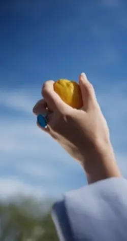 Fruit