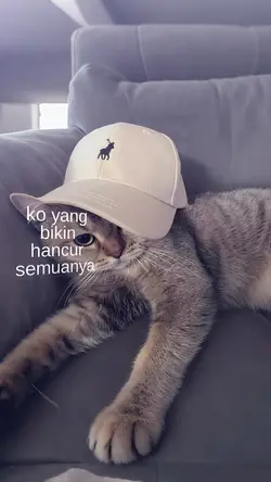 sa ceritakan pada **