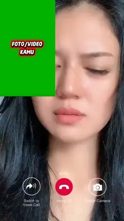 greenscreen 