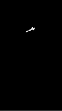 文字動画