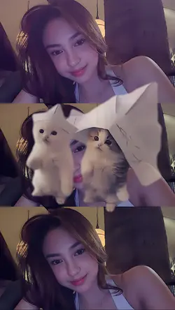 Trend kucing goyang