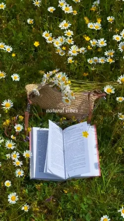 natural vibes