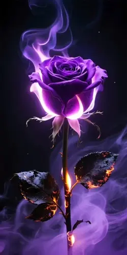 tt
