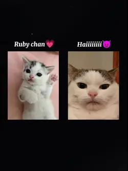 Ruby Chan Beat Sync 