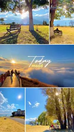 Vlog Frame estetik