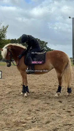 A dressage Rider😝