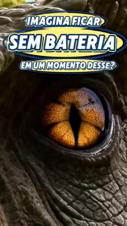 enfrentando desafios